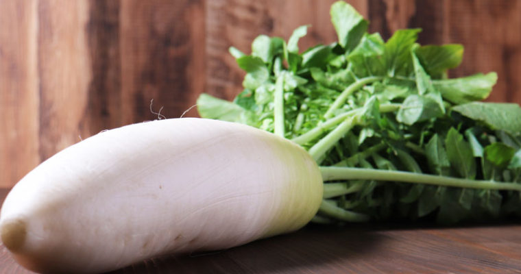 Daikon radish
